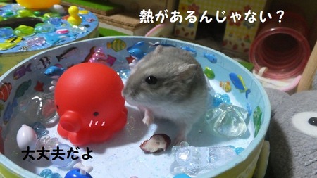 16たこ-4