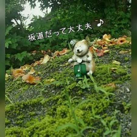 12やま-3