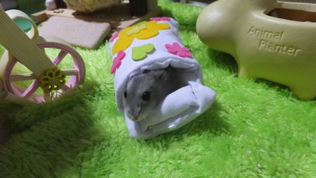 2018.7.20ふと-7