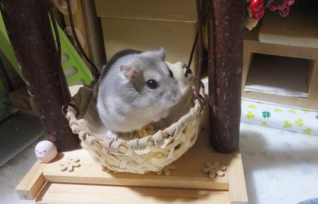 2018.11.7ぶら-3