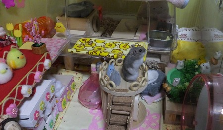 28たち-1
