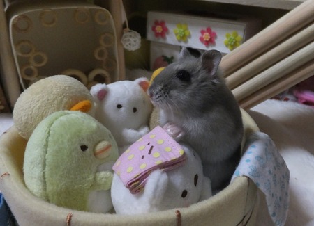 25ふろ-4