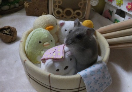 25ふろ-2