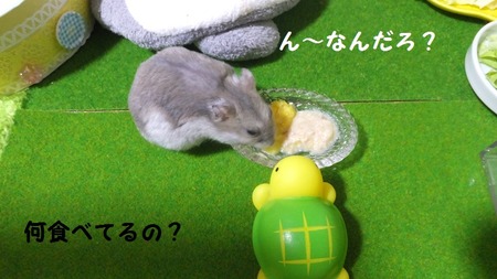18カメ-1