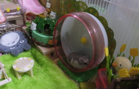 30GIF-1