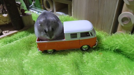 2018.10.30く-2