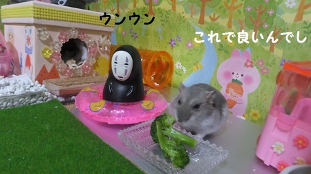27かお-4