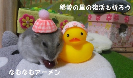 15ぴ-6