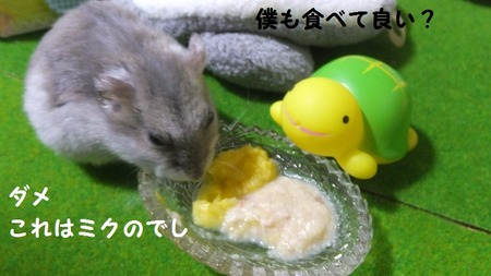 18カメ-3