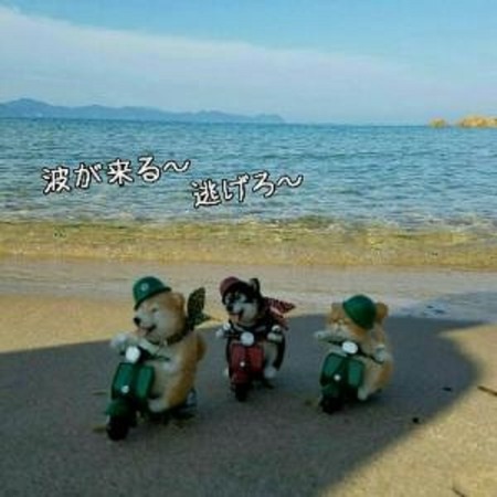 14海-4