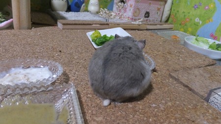 3せ-1