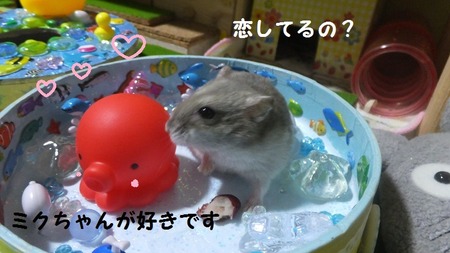 16たこ-5