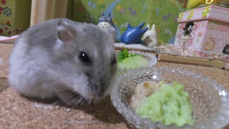 4ずん-4