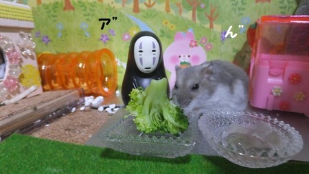 27かお-1