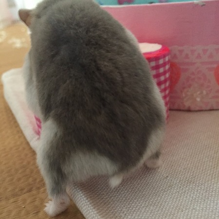 21みん-1