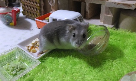 2018.11.21けつ-5★