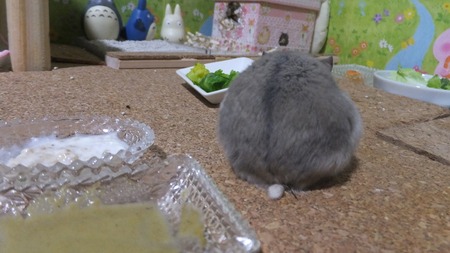 3せ-2