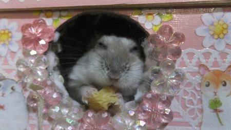 21ぱん-4