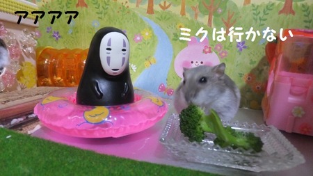 27かお-6