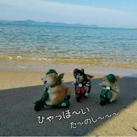14海-5