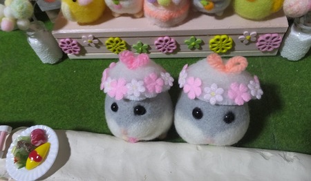 2019.1.19花帽子-2