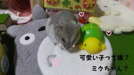 コント-5
