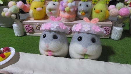 2019.1.19花帽子-1