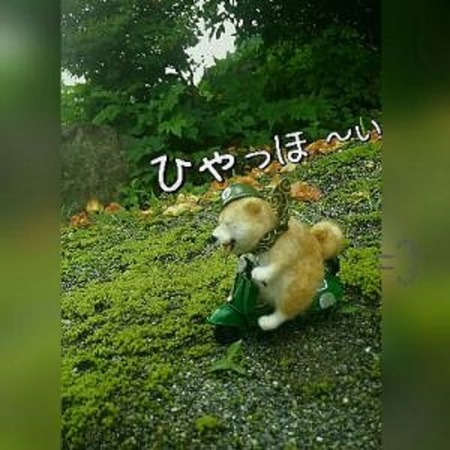 12やま-4