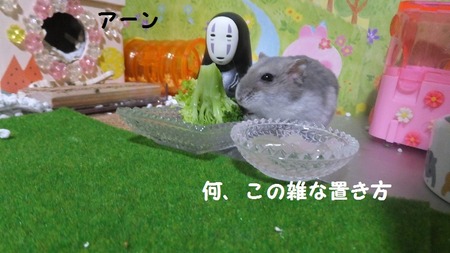 27かお-3