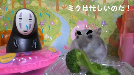 27かお-9