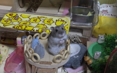 28たち-4