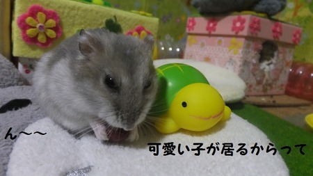 コント-4