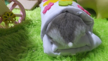 2018.7.20ふと-3