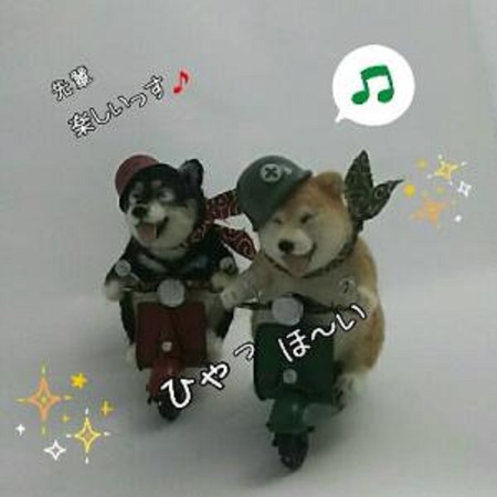 13しばぺあ-5