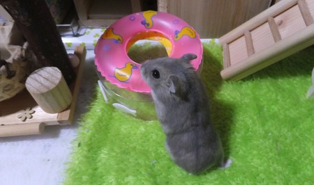 2018.6.23たち-2