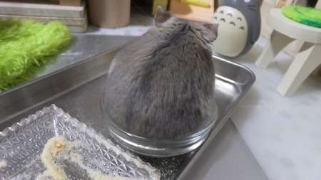 2018.9.20よ-3