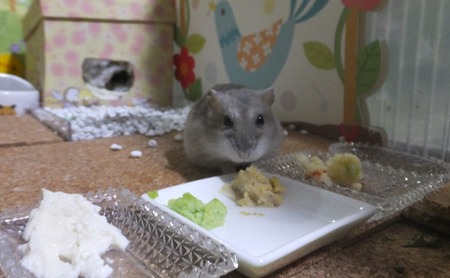 12まめ-1