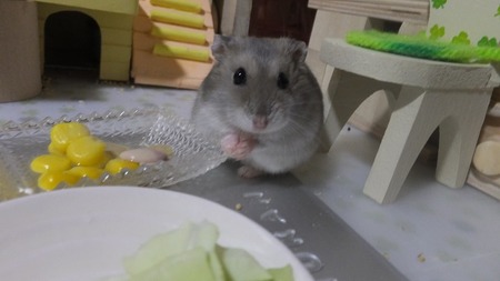 2018.8.25こん-2