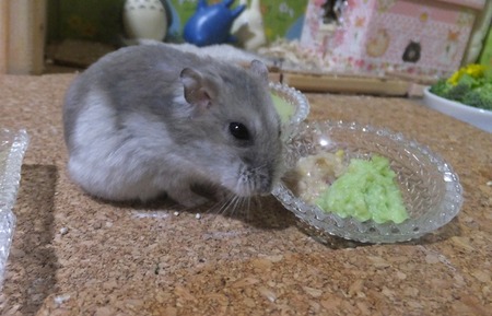 4ずん-3