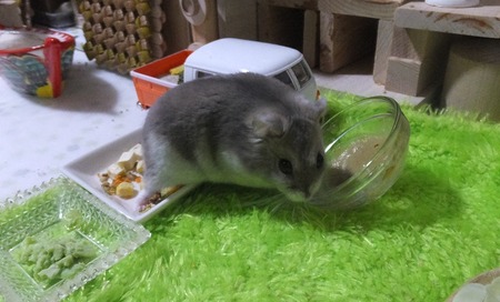 2018.11.21けつ7