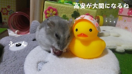 15ぴ-1