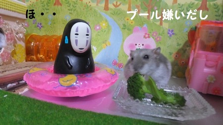 27かお-7