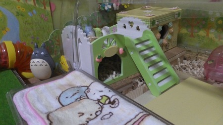 3うち-4