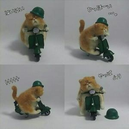 13ねこ-2