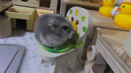 2018.11.30GIF