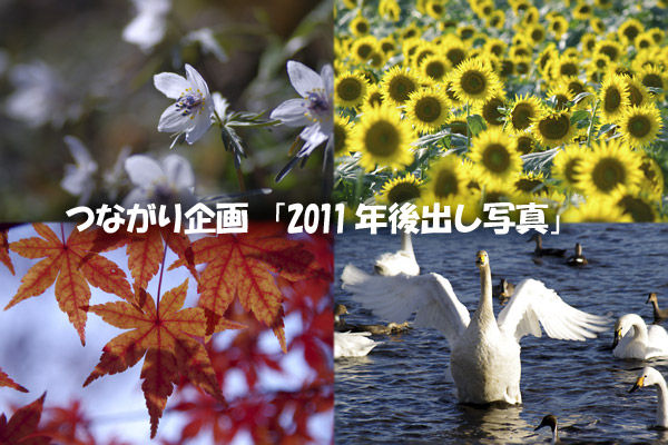 111217¤Ä¤Ê¤¬¤ê´ë²è¡Ö2011ǯ¸å½Ð¤·¼Ì¿¿¡×