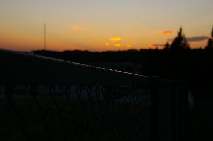 20131120_ºÇ¶á¡¢Í¼Êý¤¬åºÎï¤Ç¤Í05