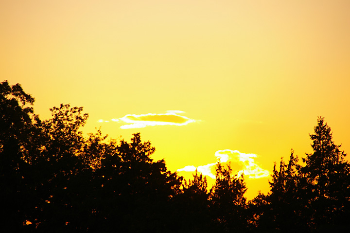 20131120_ºÇ¶á¡¢Í¼Êý¤¬åºÎï¤Ç¤Í02