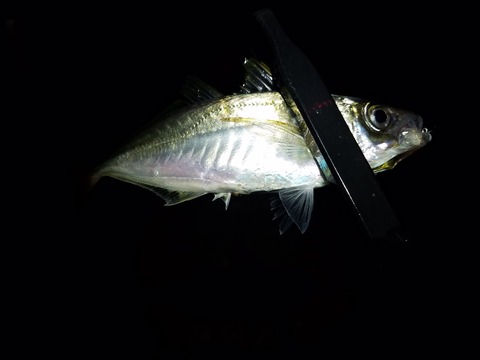 20170714_013521