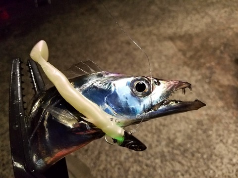 20171128_191130